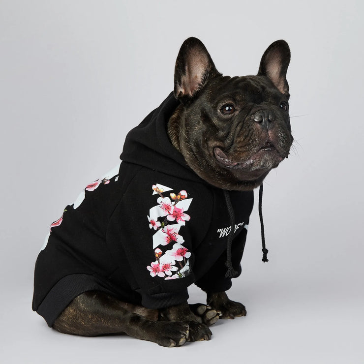 NONOR Dog Clothes WOOF Fashion Sakura Dog Jacket Pet Dog Hoodies Winter French Bulldog Pugs Sports Dog Jacket M-4XL