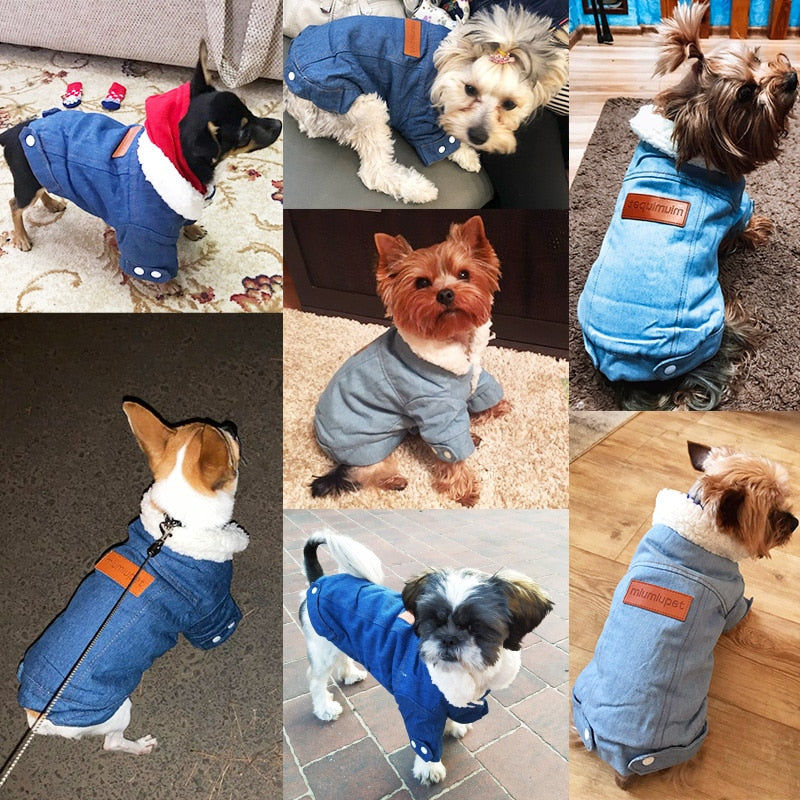 Pet Dog Coat Clothes Warm Winter Dog Jacket Thickness Denim Jean Coat for Small Dogs Clothes Lovely Pet Jacket for Cats 40 PAP SHOP 42