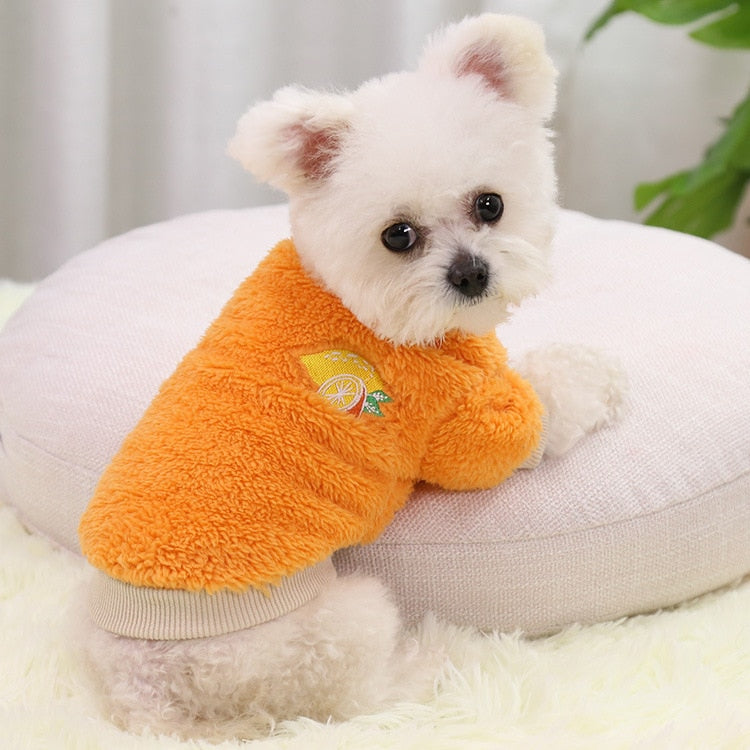 Pet Dog Clothes For Small Dogs Clothing Warm Clothing for Dogs Coat Puppy Outfit Pet Clothes for Small Dog Hoodies Chihuahua PAP SHOP 42