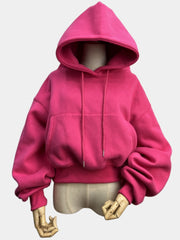 Hoodies Suit Winter Spring Solid Casual Tracksuit Women Fleece 2 Pieces Set Sports Sweatshirts Pullover Sweatpants Wholesale PAP SHOP 42