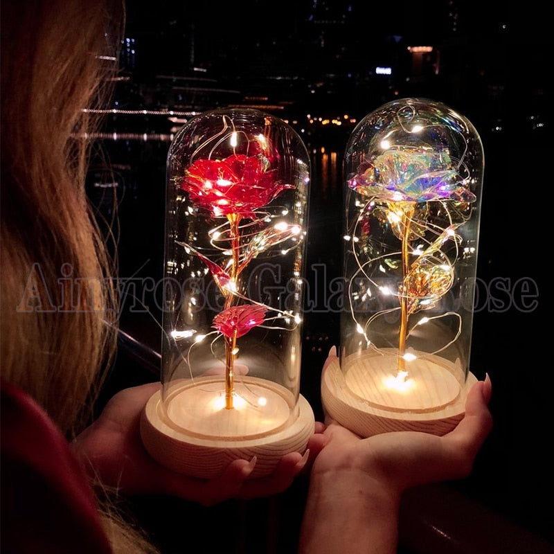 Christmas Gift Beauty and The Beast Preserved Roses In Glass Galaxy Rose Flower LED Light Artificial Flower Gift for Women Girls PAP SHOP 42